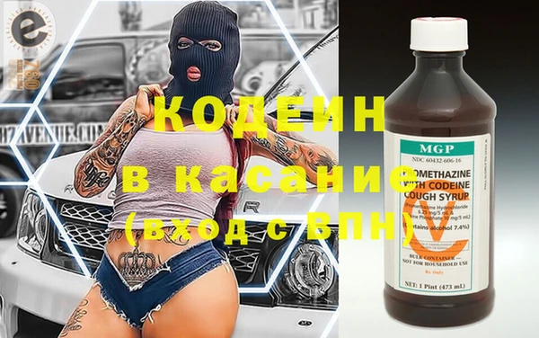 молекула духа Пересвет