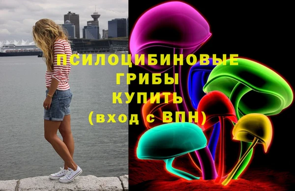 дурь Пестово