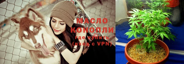 молекула духа Пересвет