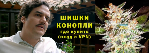 молекула духа Пересвет