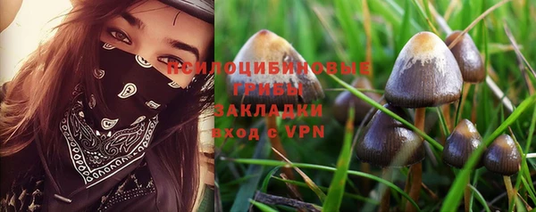 молекула духа Пересвет