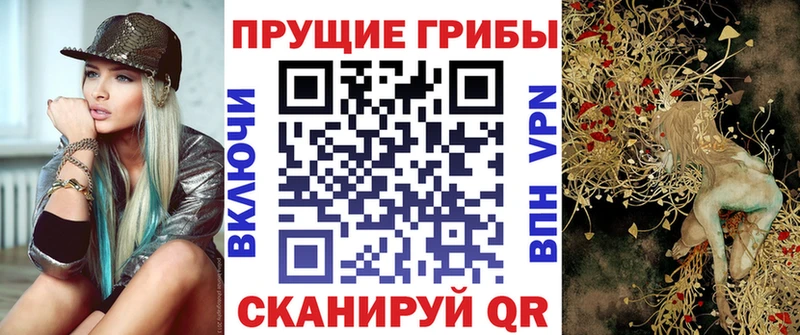 цена   Солигалич  Псилоцибиновые грибы Psilocybe 